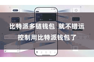 比特派多链钱包 就不错运控制用比特派钱包了