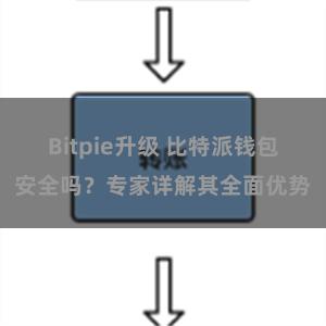 Bitpie升级 比特派钱包安全吗？专家详解其全面优势