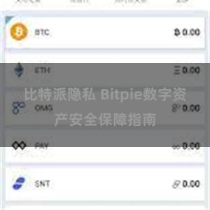 比特派隐私 Bitpie数字资产安全保障指南