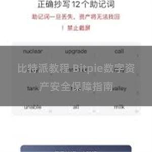 比特派教程 Bitpie数字资产安全保障指南