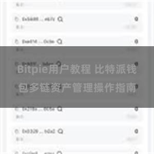 Bitpie用户教程 比特派钱包多链资产管理操作指南