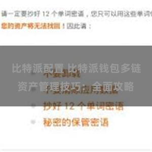 比特派配置 比特派钱包多链资产管理技巧：全面攻略