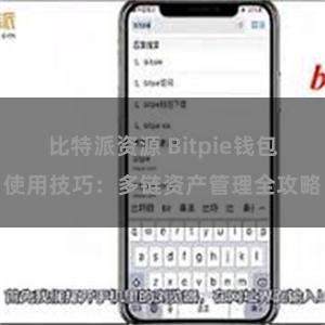 比特派资源 Bitpie钱包使用技巧：多链资产管理全攻略