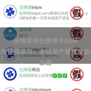 比特派钱包使用 Bitpie钱包使用技巧：多链资产管理全攻略