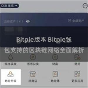 Bitpie版本 Bitpie钱包支持的区块链网络全面解析