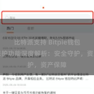 比特派支持 Bitpie钱包隐私保护功能深度解析：安全守护，资产保障