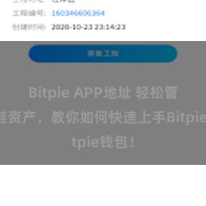 Bitpie APP地址 轻松管理多链资产，教你如何快速上手Bitpie钱包！