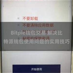 Bitpie钱包交易 解决比特派钱包使用问题的实用技巧