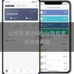 比特派 解决Bitpie钱包常见使用问题