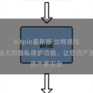 Bitpie最新版 比特派钱包：强大的隐私保护功能，让您资产更安全