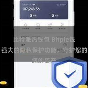 比特派热钱包 Bitpie钱包：强大的隐私保护功能，守护您的资产