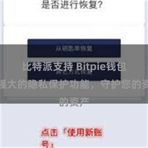 比特派支持 Bitpie钱包：强大的隐私保护功能，守护您的资产