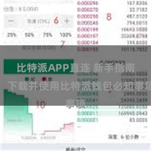 比特派APP直连 新手指南：下载并使用比特派钱包必知事项