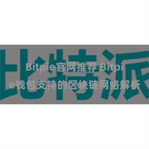 Bitpie官网推荐 Bitpie钱包支持的区块链网络解析