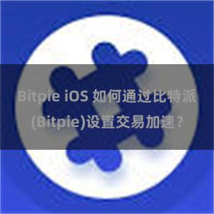 Bitpie iOS 如何通过比特派(Bitpie)设置交易加速？