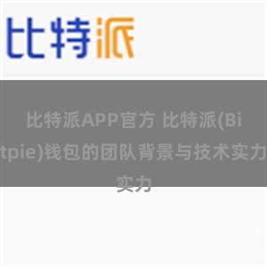 比特派APP官方 比特派(Bitpie)钱包的团队背景与技术实力