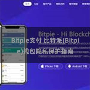 Bitpie支付 比特派(Bitpie)钱包隐私保护指南