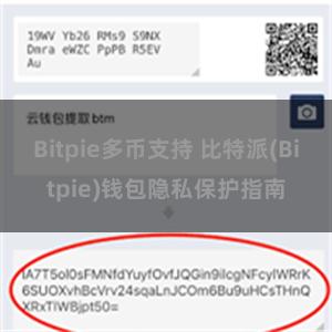 Bitpie多币支持 比特派(Bitpie)钱包隐私保护指南