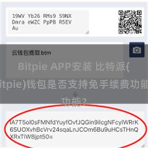 Bitpie APP安装 比特派(Bitpie)钱包是否支持免手续费功能？