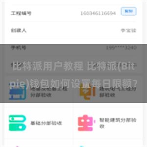 比特派用户教程 比特派(Bitpie)钱包如何设置每日限额？