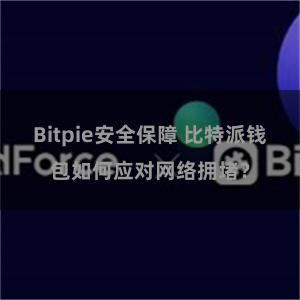 Bitpie安全保障 比特派钱包如何应对网络拥堵？