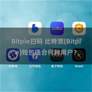 Bitpie扫码 比特派(Bitpie)钱包适合何种用户？