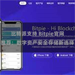 比特派支持 Bitpie官网推荐：数字资产安全存储新选择
