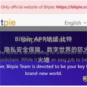 Bitpie APP地址 比特派：隐私安全保障，数字世界的防火墙
