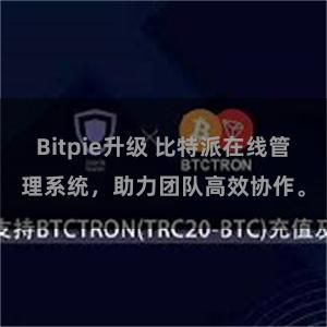 Bitpie升级 比特派在线管理系统，助力团队高效协作。