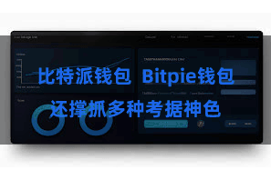 比特派钱包  Bitpie钱包还撑抓多种考据神色