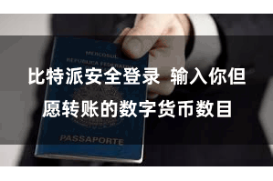 比特派安全登录  输入你但愿转账的数字货币数目
