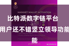 比特派数字链平台  用户还不错竖立领导功能
