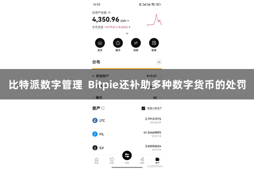 比特派数字管理  Bitpie还补助多种数字货币的处罚