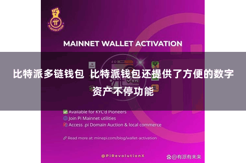 比特派多链钱包  比特派钱包还提供了方便的数字资产不停功能