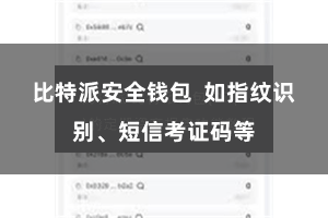 比特派安全钱包  如指纹识别、短信考证码等