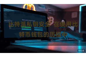 比特派私钥安全  在使用比特币钱包的历程中